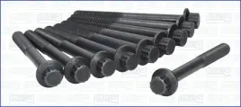 zestaw-srub-glowicy-cylindrow-81002500-ajusa