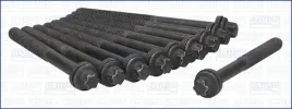 zestaw-srub-glowicy-cylindrow-81032900-ajusa