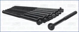 zestaw-srub-glowicy-cylindrow-81052500-ajusa