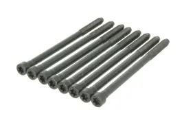 zestaw-srub-glowicy-cylindrow-81044700-ajusa