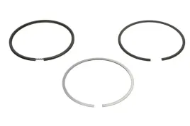 zestaw-pierscieni-tloka-06355n0-mah