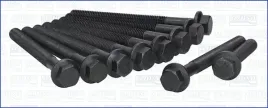 zestaw-srub-glowicy-cylindrow-81010100-ajusa