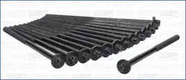zestaw-srub-glowicy-cylindrow-81041600-ajusa