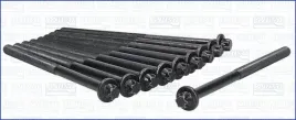 zestaw-srub-glowicy-cylindrow-81056000-ajusa