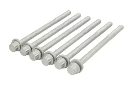 zestaw-srub-glowicy-cylindrow-81046800-ajusa