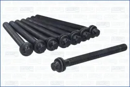 zestaw-srub-glowicy-cylindrow-81063500-ajusa