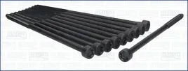 zestaw-srub-glowicy-cylindrow-81021600-ajusa