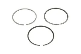 zestaw-pierscieni-tloka-02954n0-mah