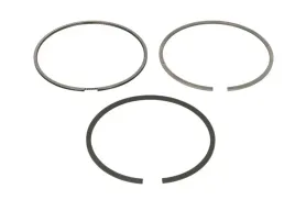 zestaw-pierscieni-tloka-01602n0-mah