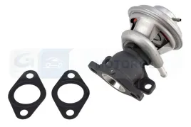 zawor-egr-egp0-n087-ngk