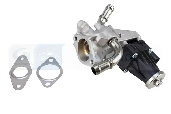 zawor-egr-ege5-d011-ngk