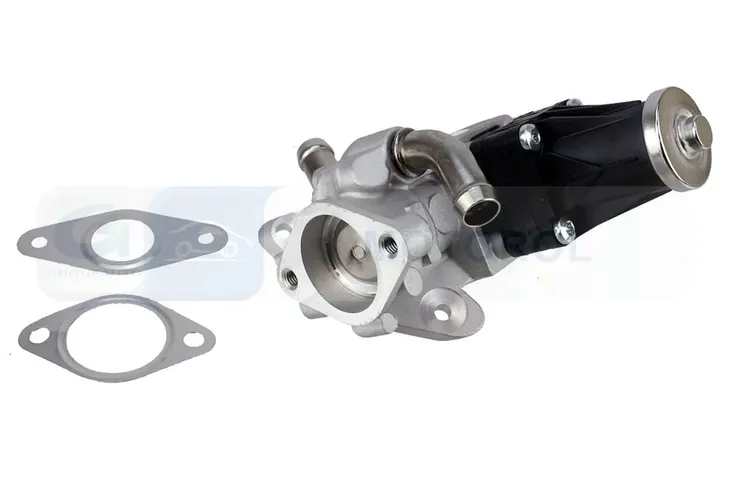 zawor-egr-ege5-d002-ngk-producent-czesci-ntk