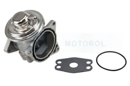 zawor-egr-egp0-n072-ngk