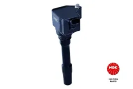 cewka-zaplonowa-49061-ngk