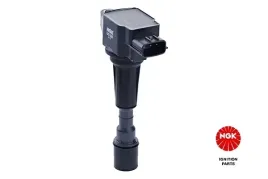 cewka-zaplonowa-49068-ngk