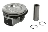 tlok-130050003021