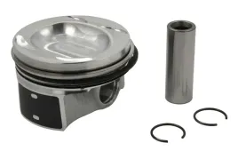 tlok-130050003021