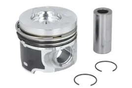 tlok-130038002521