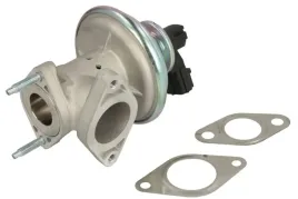 zawor-egr-48643-nrf