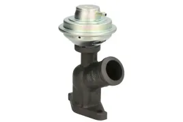 zawor-egr-48616-nrf