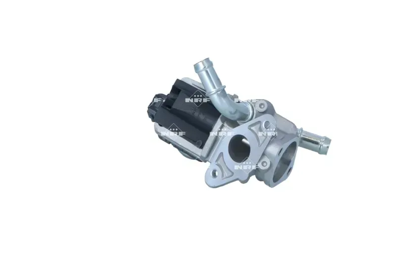 zawor-egr-48641-nrf