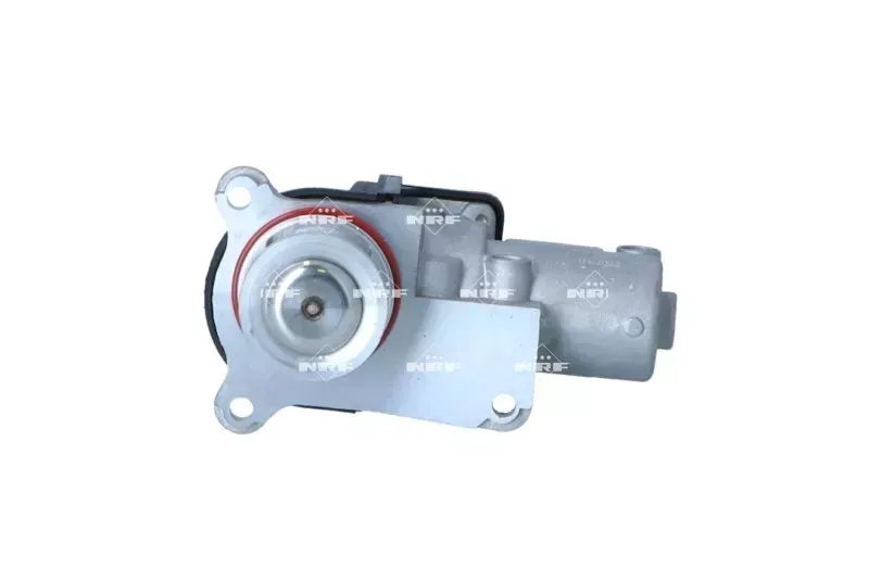 zawor-egr-48631-nrf