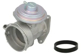 zawor-egr-48636-nrf