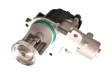zawor-egr-48606-nrf