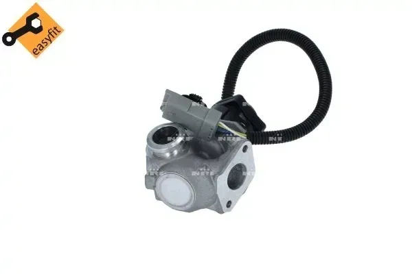 zawor-egr-48385-nrf