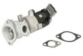zawor-egr-48603-nrf