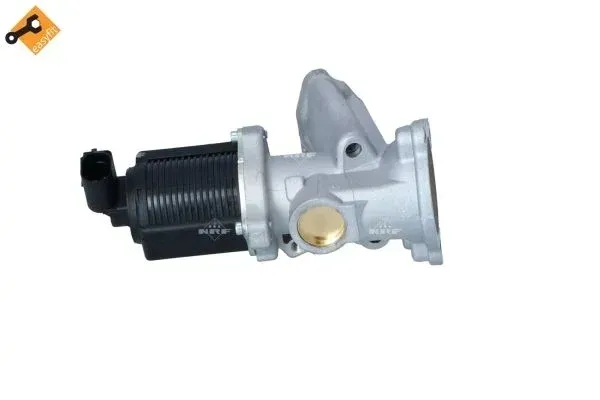 zawor-egr-48331-nrf