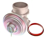 zawor-egr-48623-nrf