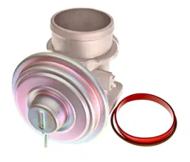 zawor-egr-48623-nrf