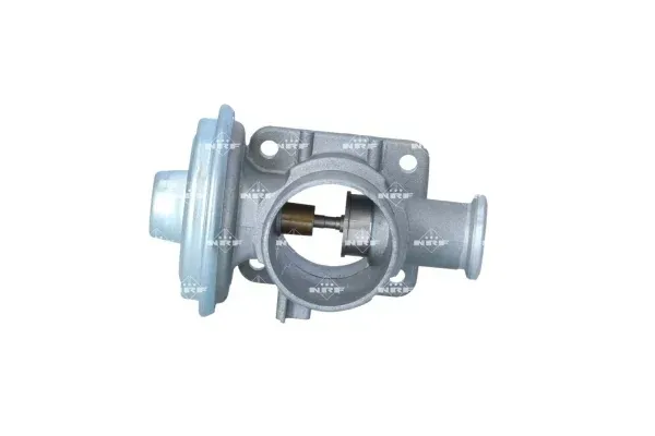 zawor-egr-48623-nrf