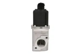 zawor-egr-48396-nrf