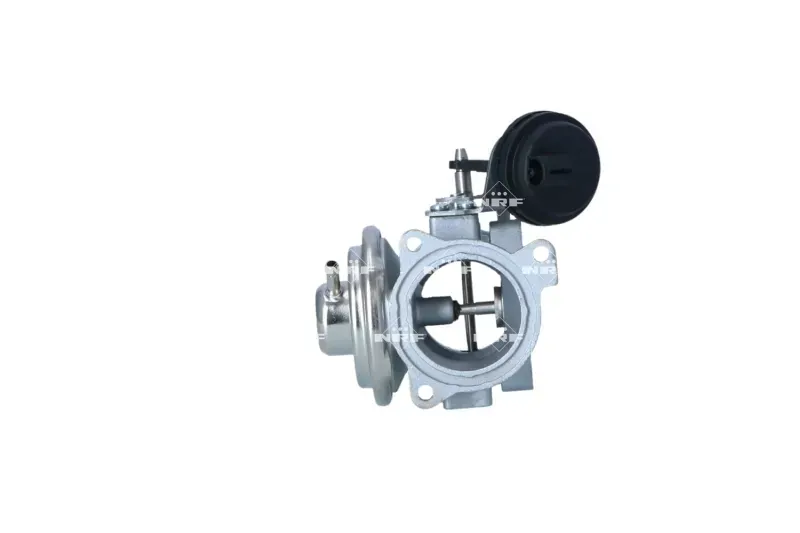 zawor-egr-48618-nrf