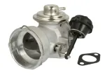 zawor-egr-48342-nrf