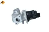 zawor-egr-48328-nrf