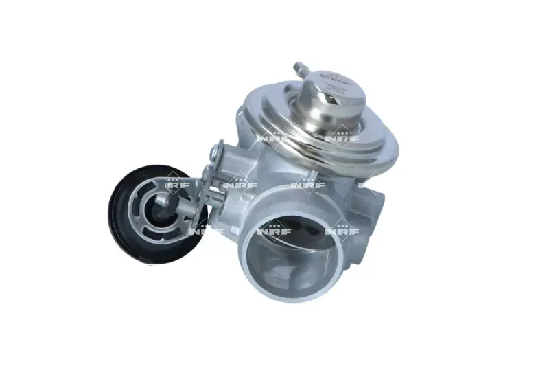 zawor-egr-48625-nrf