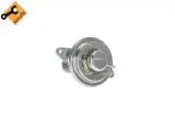 zawor-egr-48383-nrf