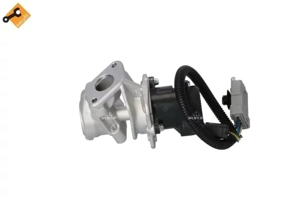 zawor-egr-48397-nrf