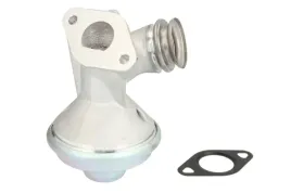 zawor-egr-48391-nrf