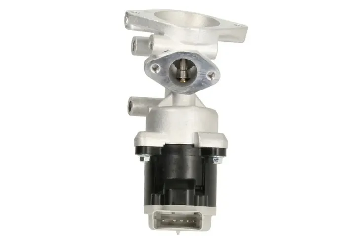 zawor-egr-48602-nrf