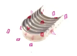 panewki-kor-fiat-23jtd-16v-daily-std-181121001100-ne