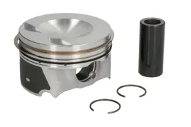 tlok-130050059500