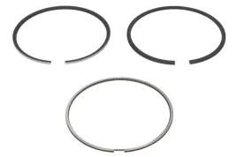 pierscienie-tlokowe-ford-20tdci-8600-std-120021006200-ne