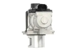 zawor-egr-49484-feb
