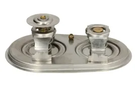 termostat-srodka-chlodzacego-d2sc011tt