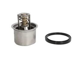 termostat-srodka-chlodzacego-d2rv004tt