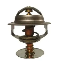 termostat-srodka-chlodzacego-d2mt001tt